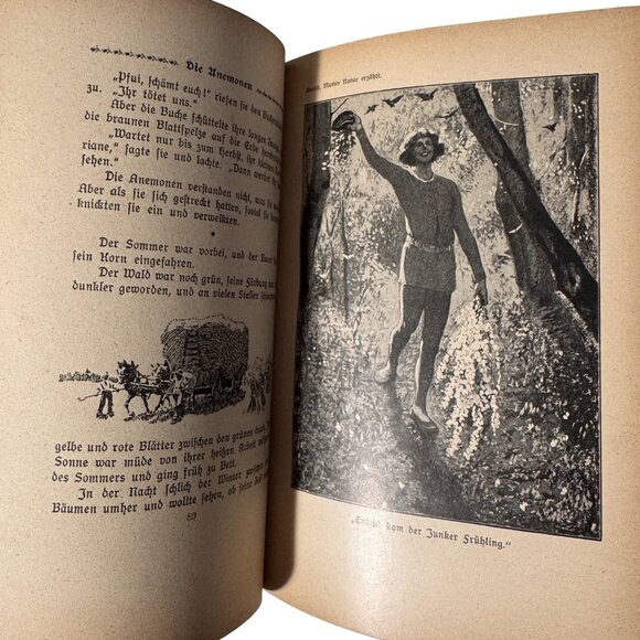 "Mother Nature Tells" By Karl Ewald Hardcover Book German Mutter Natur Erzählt - Picture 6 of 16